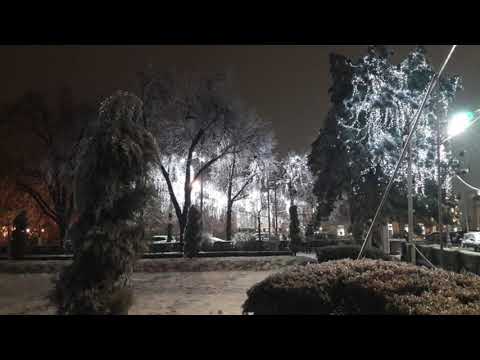 @ionbogdanstefanescu  George Balint - La fereastra dinspre iarnă