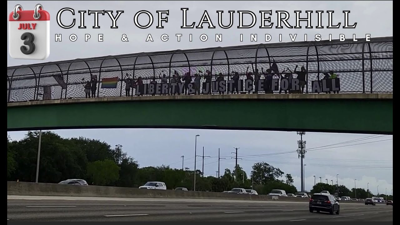 Democracy Defenders Straddling the Florida Turnpike