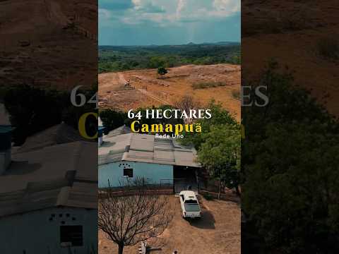 Fazenda à venda com 64 hectares no Mato Grosso do Sul | Camapuã