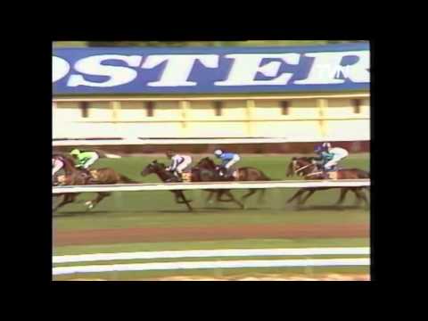 1991 Melbourne Cup   Let's Elope