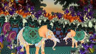 sundog   elephants arse