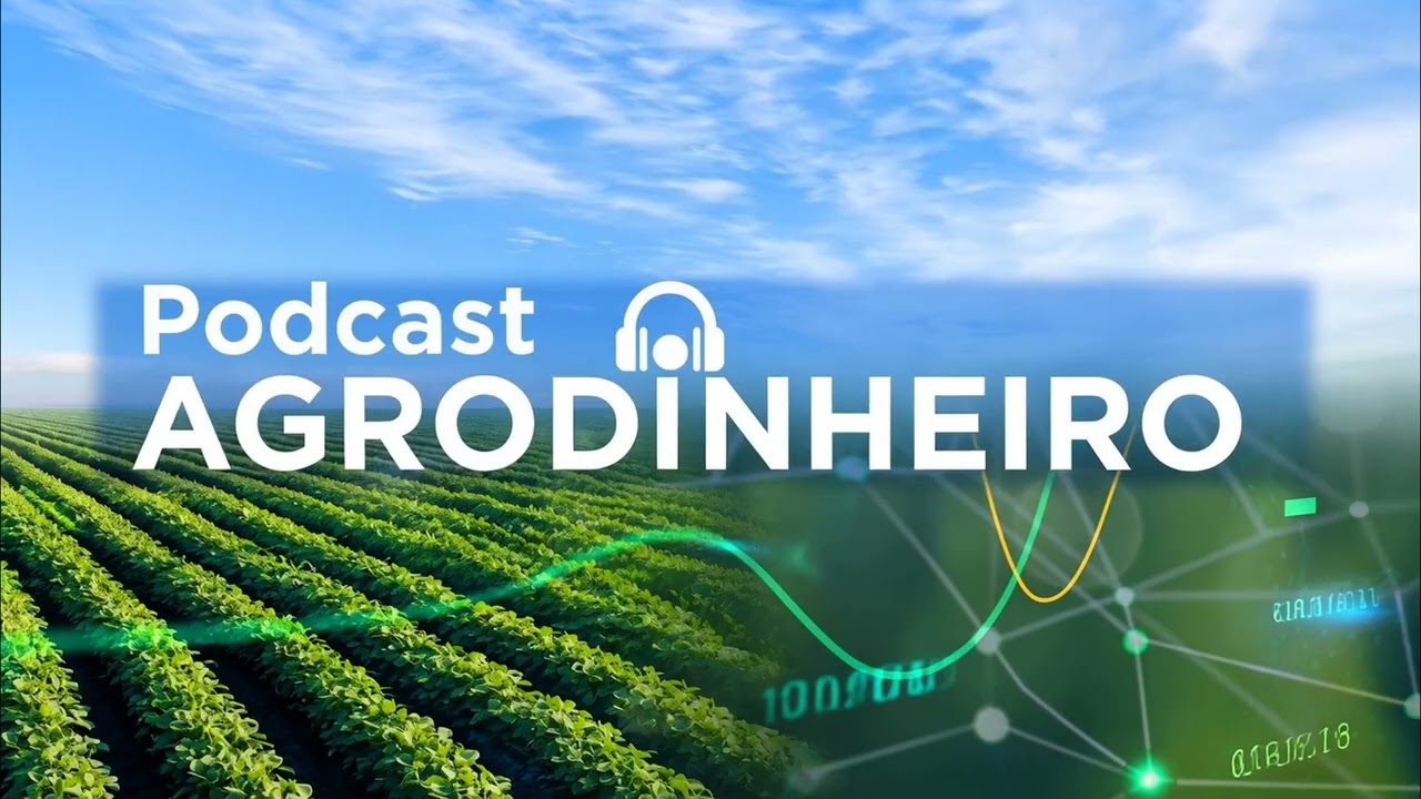 #569 AgroDinheiro: Queda da soja na CBOT com clima positivo nos EUA e petróleo em alta