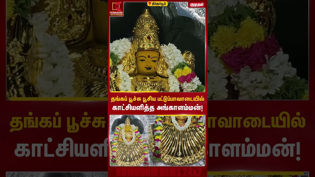 தங்கப் பூச்சு பூசிய பட்டுப்பாவாடையில் காட்சியளித்த அங்காளம்மன்! | Tiruppur Angalammal | Kumudam News