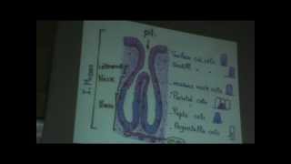 Dr Gihan "drawing 1st lecture " part 2