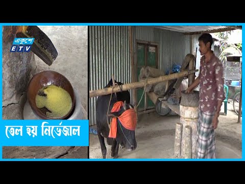 ঘানি ভাঙা খাঁটি সরিষার তেলের খোঁজে