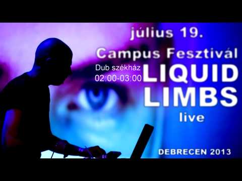 LIQUID LIMBS Live  2013. júli.19. Campus Fesztivál Debrecen