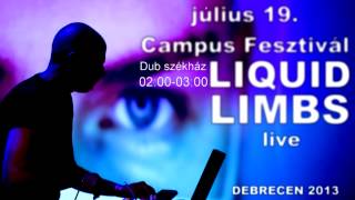 LIQUID LIMBS Live  2013. júli.19. Campus Fesztivál Debrecen