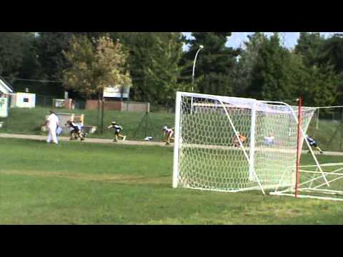 pattinaggio bellusco