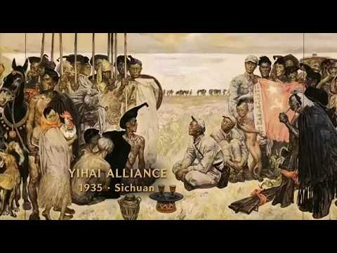 The Yihai Alliance