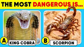 How Good Is Your Knowledge of ANIMALS? 🧠🐍 Animal Quiz Challenge 2026 ✅🐵 Monkey Quiz