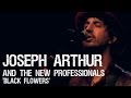 Joseph Arthur & The New Professionals - Black Flowers Live 12/05/13 Sellersville, PA