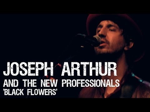Joseph Arthur & The New Professionals - Black Flowers Live 12/05/13 Sellersville, PA