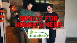 Professional Landscaping Advice for Homeowners