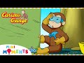 George Builds A Treehouse Curious George Compilation Mini Moments