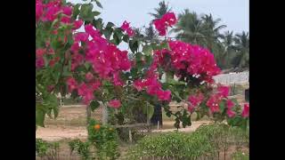 Download lagu NOOR KUMALASARI - LAGU DARI KAMAR & HATI SEORANG KEKASIH. mp3 Download lagu NOOR KUMALASARI - LAGU DARI KAMAR & HATI SEORANG KEKASIH. mp3