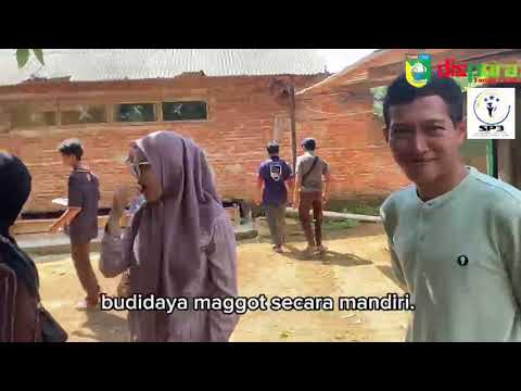 Pelatihan budidaya maggot pemuda panggung