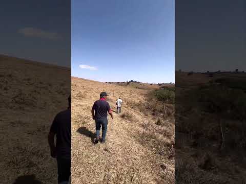 Sítio de 300.000 m2 à Venda em Estiva no Sul de Minas Gerais.