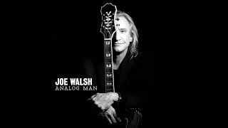 Joe Walsh - Analog Man