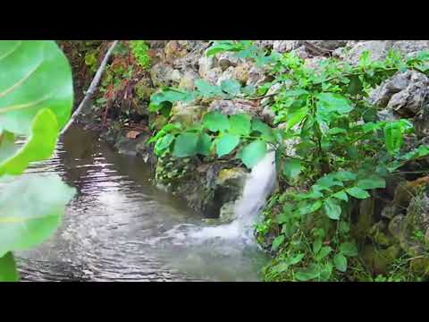 Peter Deunov - Instrumental Music -The Little Mountain Spring