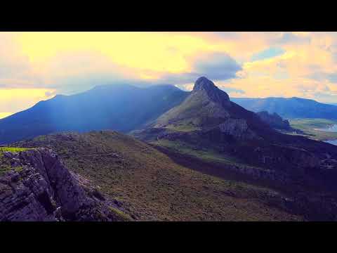 wujoteS - Ptaki (Prod. WayzWhizz) (VIDEO)