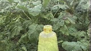 Поверхностно активное вещество (Пав)