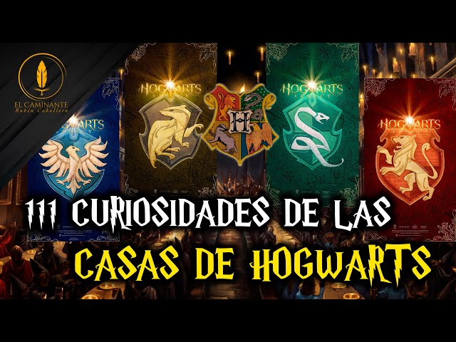 Vídeo relacionado con Elbenwald Toalla de Playa Harry Potter con Casas Hogwarts Abrigos de Escudo de Armas Motif 90x180cm Gray