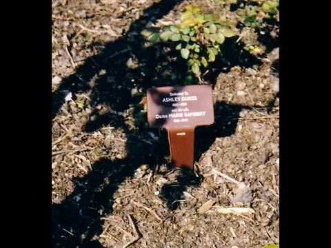 Golders Green Crematorium Famous Graves