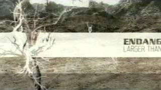 Endanger - Bittersweet Love