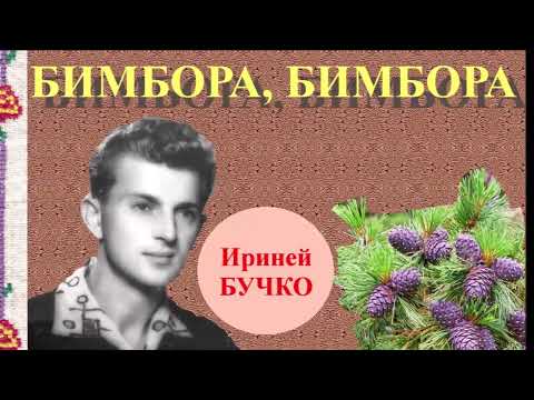 BIMBORA, BIMBORA - Irinej BUČKO