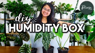 How to Create a Humidity Box for Indoor Plants