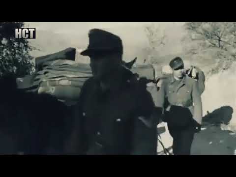 Ww2 German mountain troops in the Caucasus 1942 Combat Footage