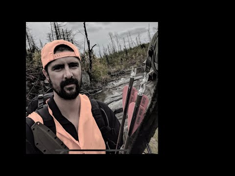 Aim Small Miss Small Archr80 Archery