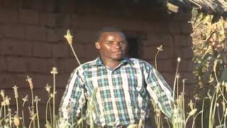 Download lagu 161 kamwene nyimbo ya kabila la wabena mp3