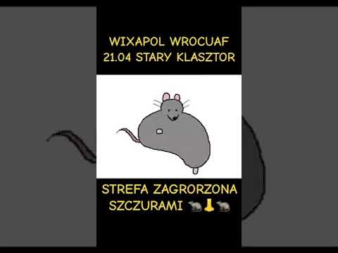 STREFA ZAGRORZENIA SZCZURAMI 21.4 WROCUAF #shorts
