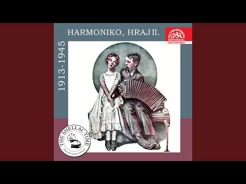 Akáty bílé, žaluji vám