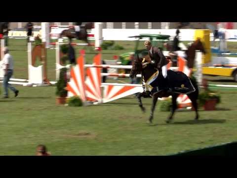 Hannoveraner Springpferde-Championat 2013 - Sechsjährige Pferde