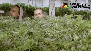 Roundhead &amp; Camel - Roll1 [Official Video 2018]