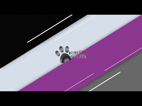 Eduardo García Salcedo vs Martin Marti Huella de plata 2022