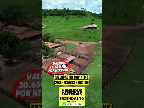 Fazenda no Tocantins pecuária #agro #gado #pecuarista #fazenda