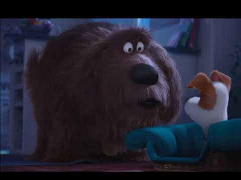 "Toons University" Part 1 - Field Trip