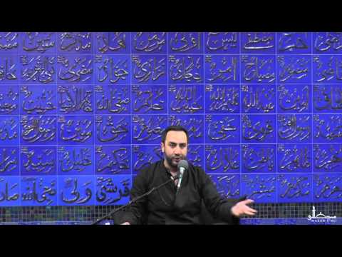 10. Islam and The Disabled - Dr. Sayed Ammar Nakshawani - Muharram 1437 - Masjid-e-Ali