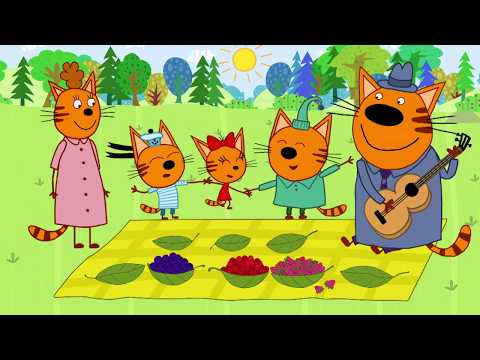 Kid-E-Cats en español | Vamos de picnic | DIBUJOS ANIMADOS para niños