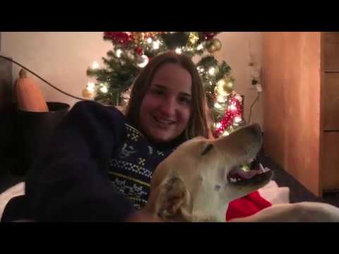 Dog that helped a college student