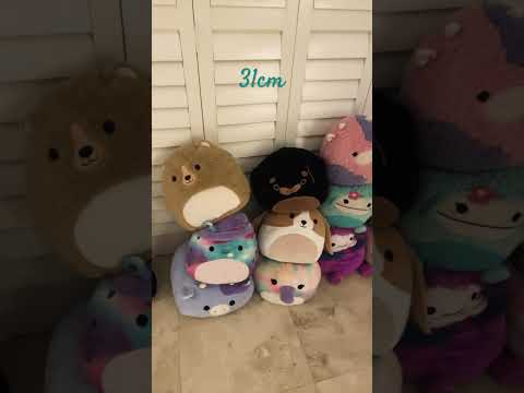 All my Squishmallow sizes 🤗🌺