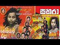 සහර සමඟ වසනත සනදනයක V 16 Wasantha Sandanayake With Sahara Gee16
