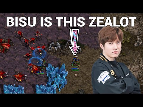 The King of Protoss vs Zerg - Bisu vs Hm