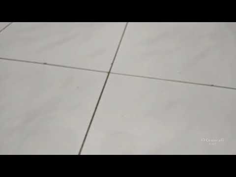 Raysha Afiff's broadcast