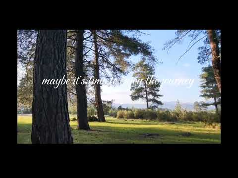 When I'm gone I'd like to be a part of the trees  feeling the breeze while the birds freely singing