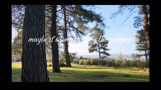 When I'm gone I'd like to be a part of the trees  feeling the breeze while the birds freely singing