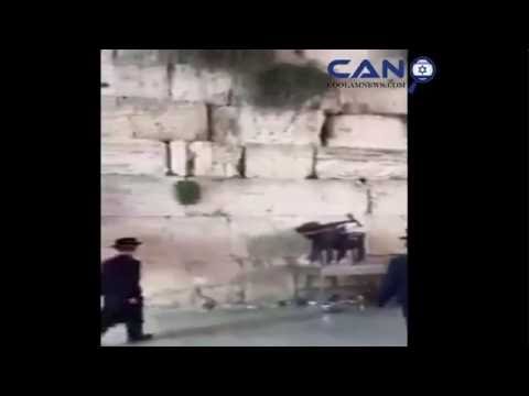 Après le chat du Rabbin, regardez le chat (coincé) du Kotel